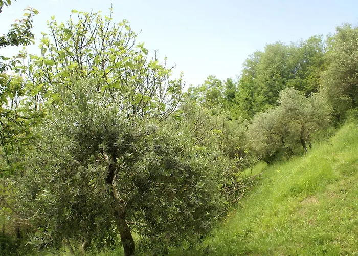 Toskanische Tradition By Interhome Feriehus *